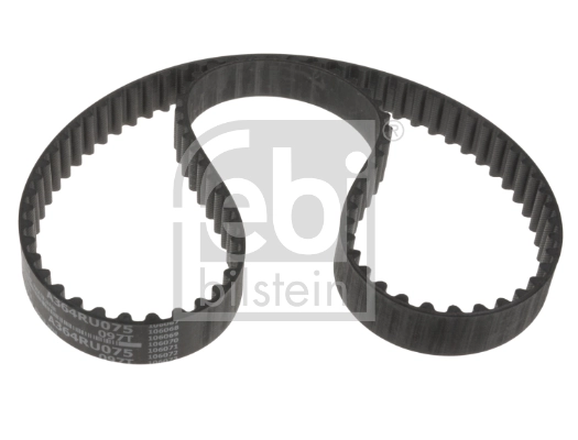 Timing Belt